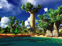 Doğal Cennet Madagaskar