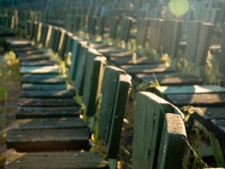 Açık Hava Sineması