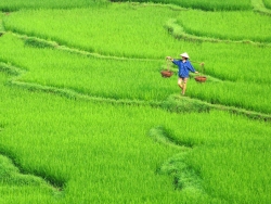 Vietnam
