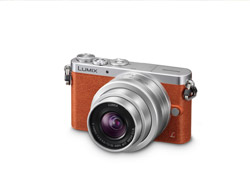 Panasonic Lumix DMC-GM1