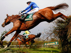 Hippidrome D'auteuil