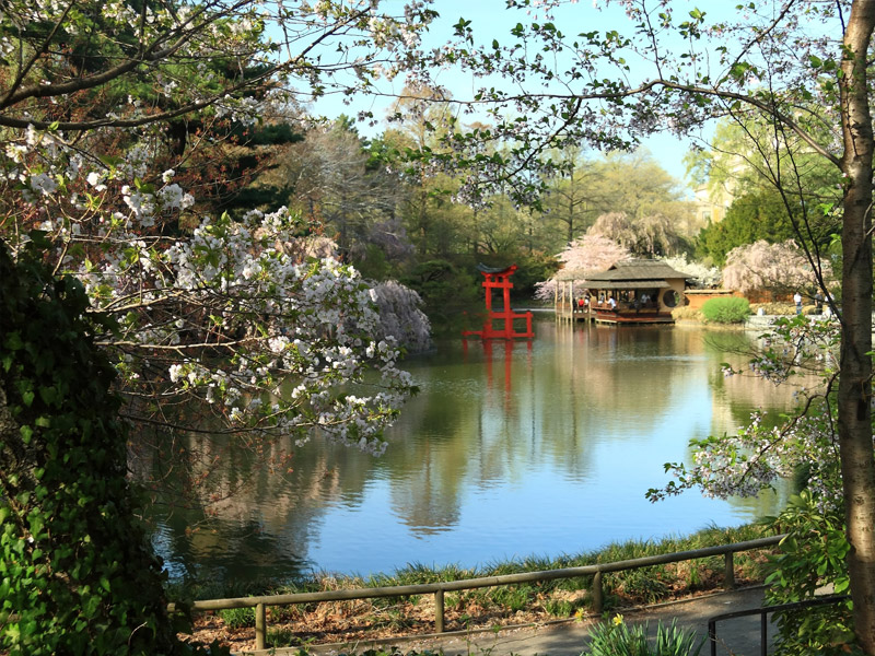 Brooklyn-Botanik-Bahçesi-800x600