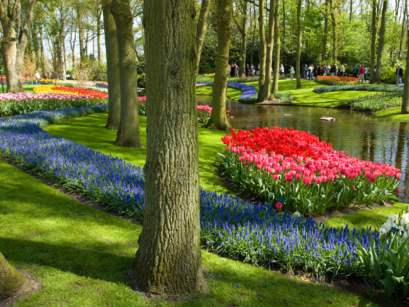 Keukenhof-Bahçesi-800x600