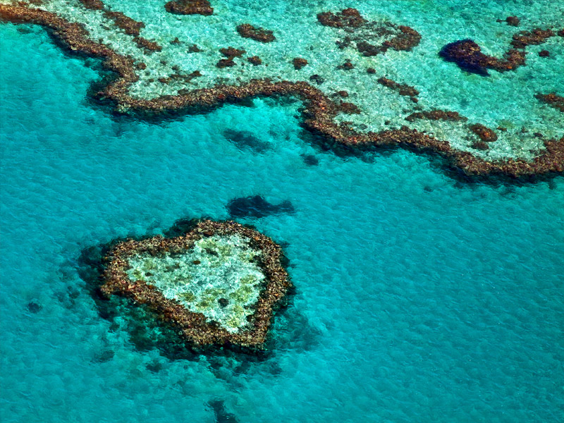 Whitsundays- Heart Reef-800x600
