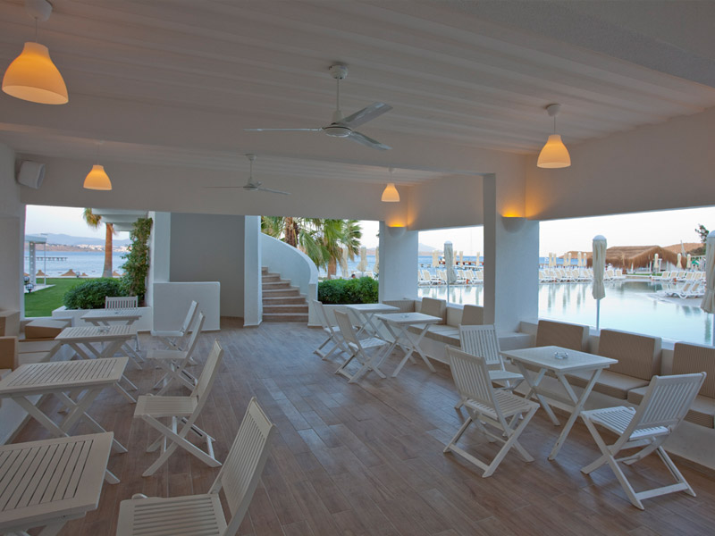 cocos the club-800x600