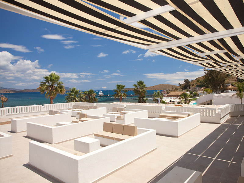 cocos the club-800x600 (3)