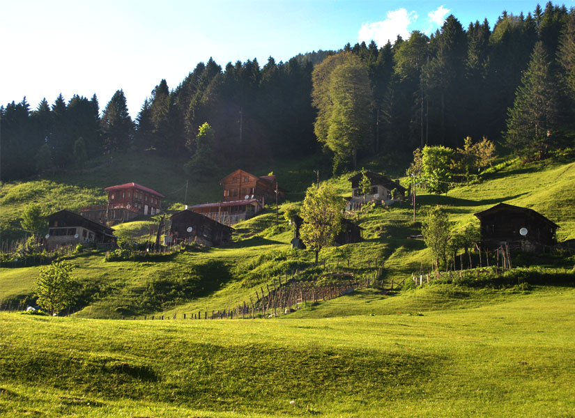 Ayder yaylasi -825x600