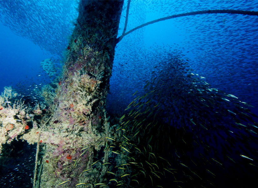 lets-go-hurghada-02-825x600