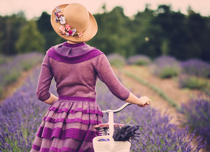 lets-go-lavanta-01-825x600