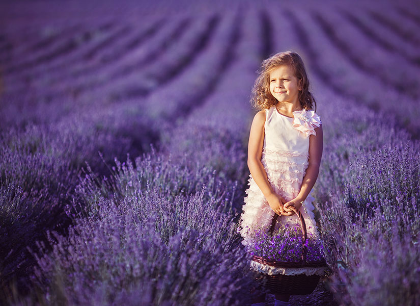 lets-go-lavanta-02-825x600