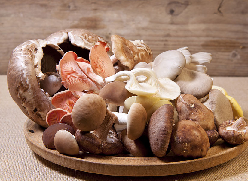 lets-go-sefler-01-825x600