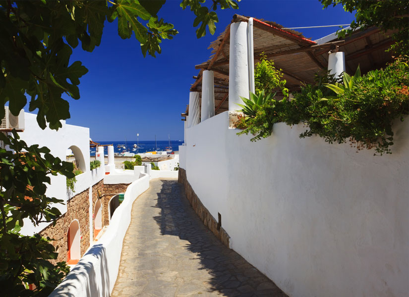 dunyanin en guzel adalari (1)