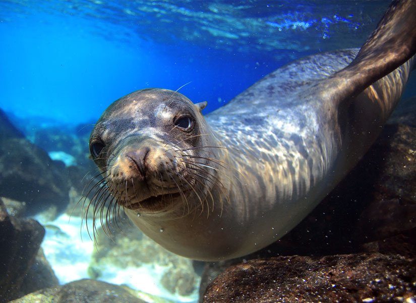 dunyanin en güzel doğal parklari (4)
