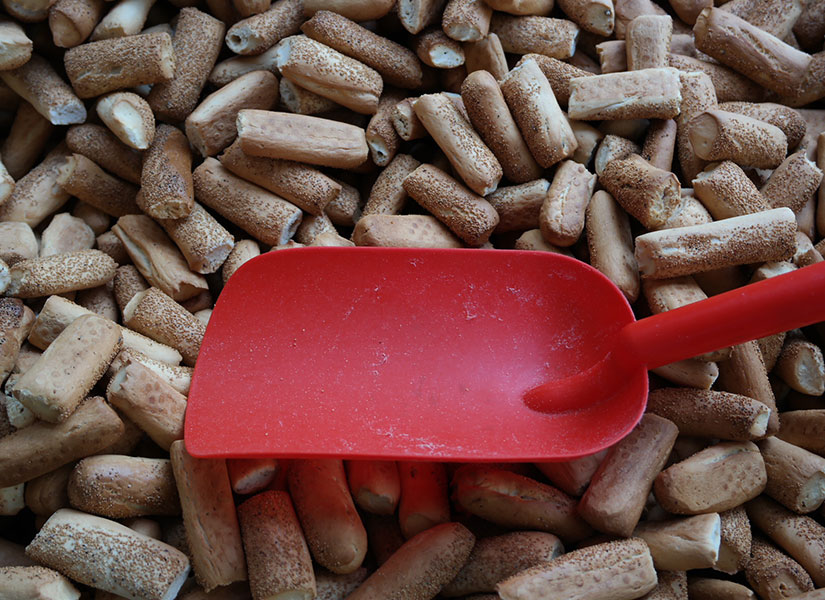 lets-go-konya-02-825x600