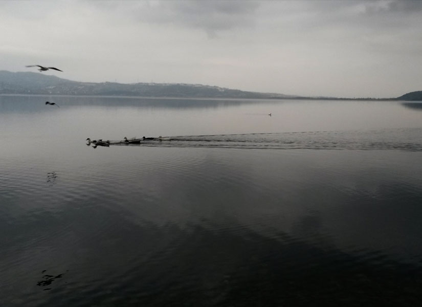 lets-go-tugce-01-825x600