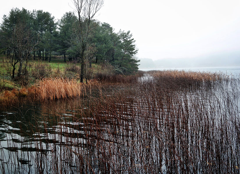 abantta ne yenir (4)