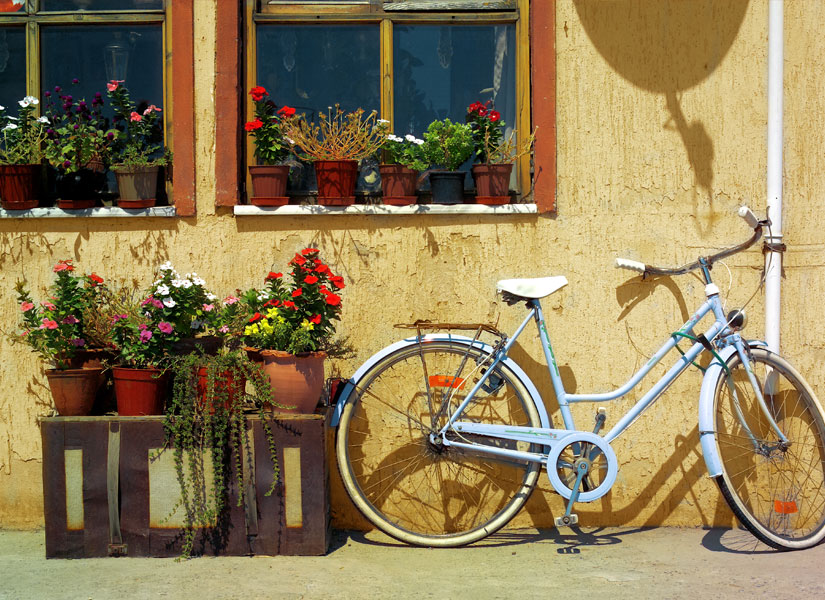 ayvalikta ne yapilir (4)