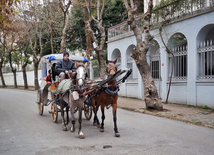 lets-go-adalar-02-825x600
