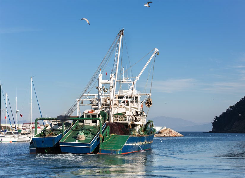 lets-go-mudanya-02-825x600