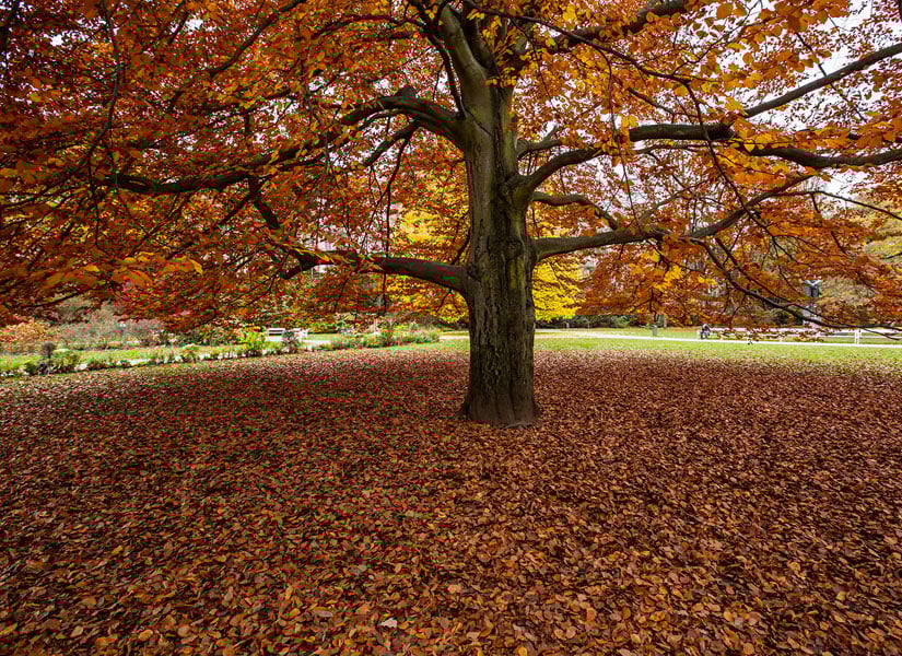 lets-go-prag-08-825x600