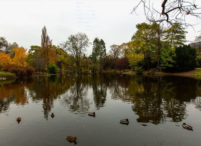 lets-go-viyana-07-825x600