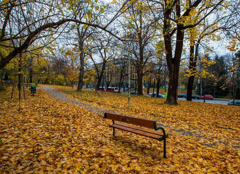 lets-go-viyana-10-825x600