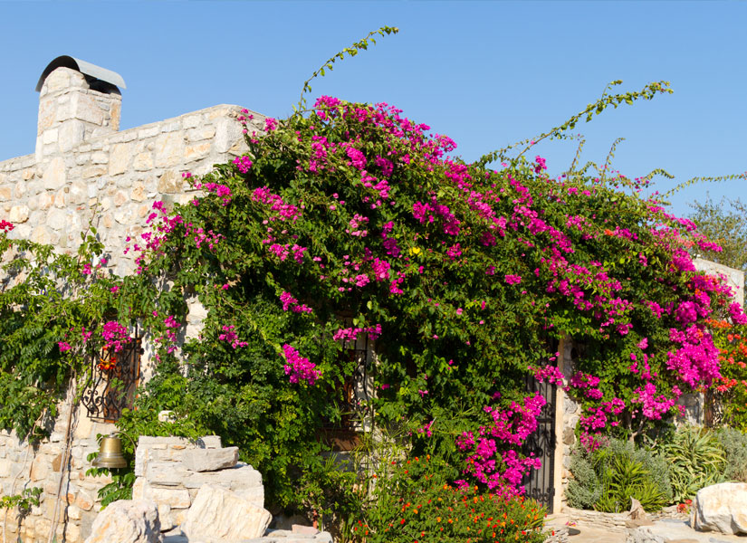 lets-go-datca-01-825x600
