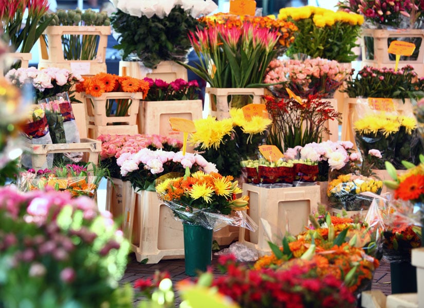 amsterdamda gezilecek yerler (4)