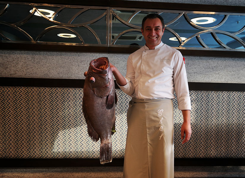 cornelia mutfagi (4)