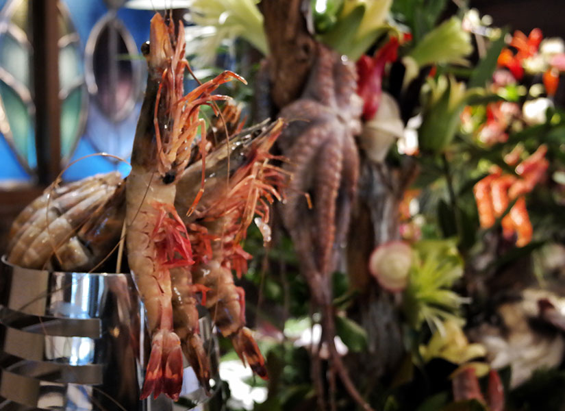 cornelia mutfagi (5)