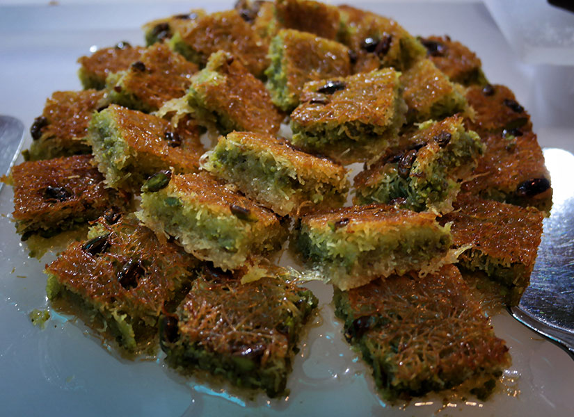 cornelia tatlilarıi (12)