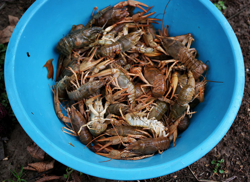 lets-go-iznik-04-825x600