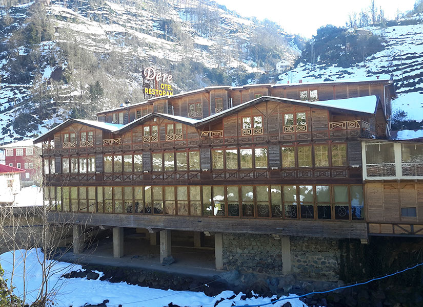 lets-go-rize-01-825x600