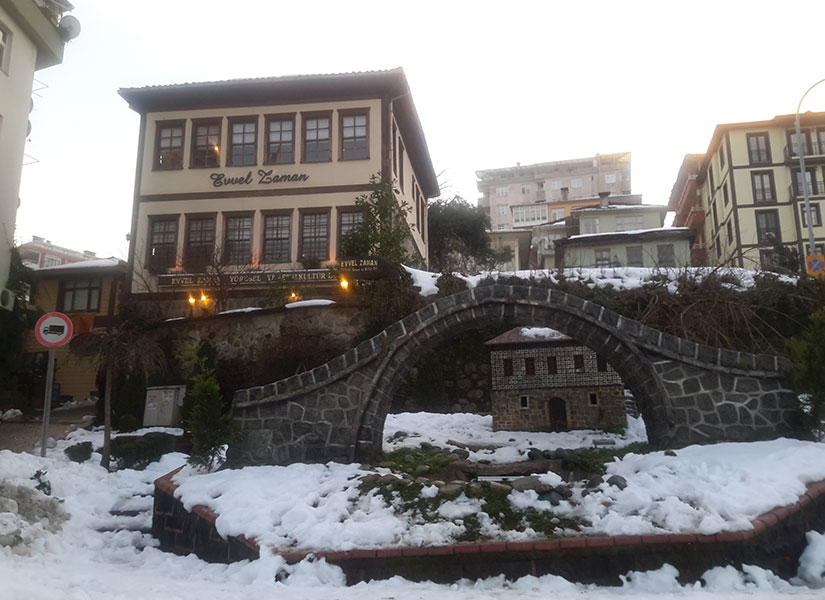 lets-go-rize-10-825x600