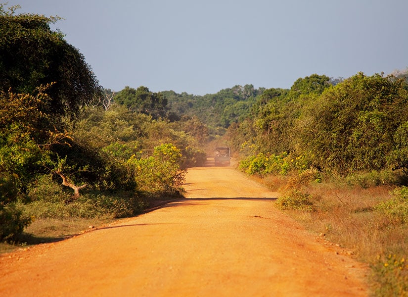 sidede ne yapilir (1)