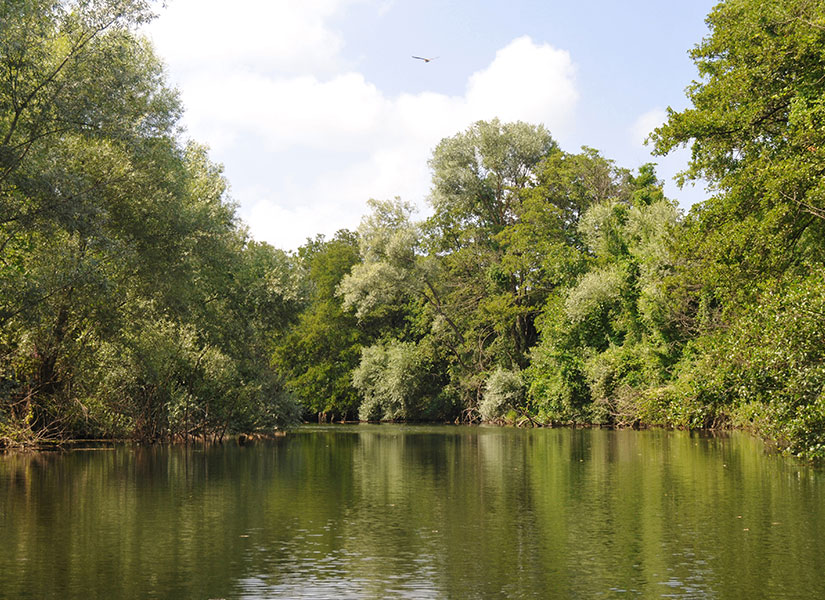 Ağva'da Gezilecek Yerler: Saklı Göl