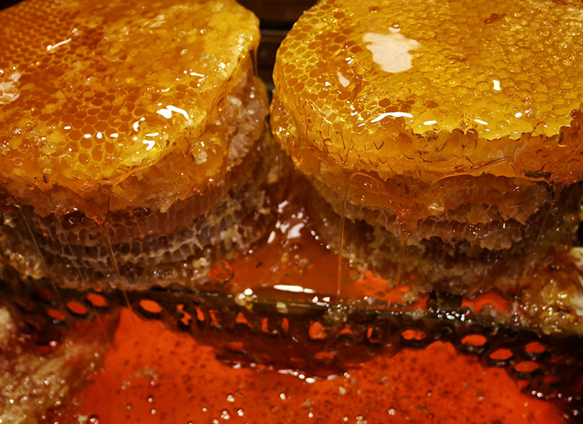 kadıkoy bufeleri (3)