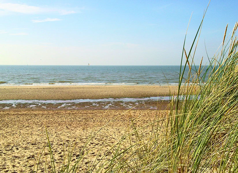 lets-go-brugge-07-825x600