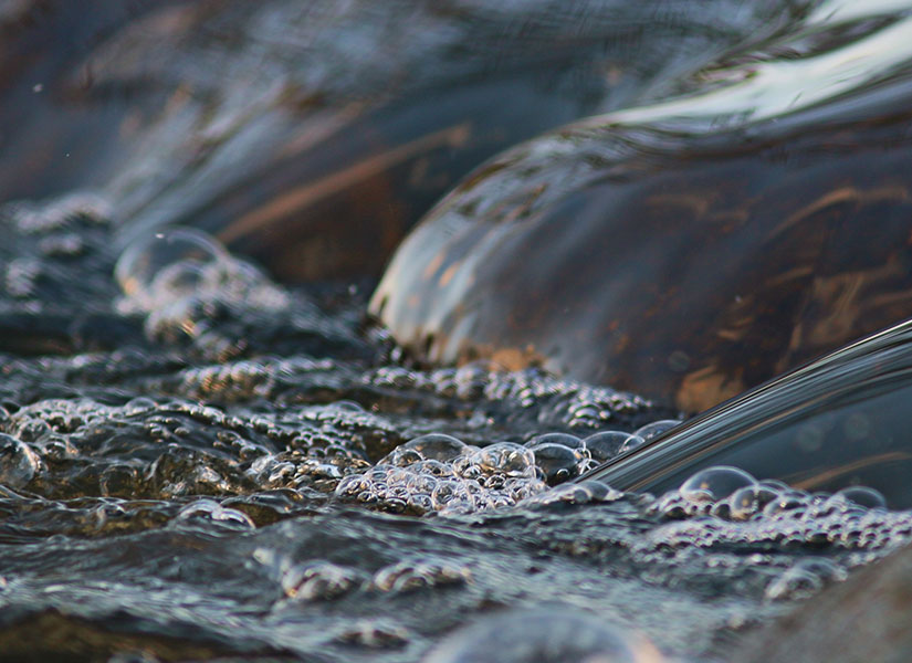 sapancada ne yapilir (2)