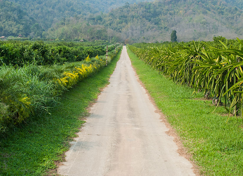 sarigermeye nasil gidilir (7)