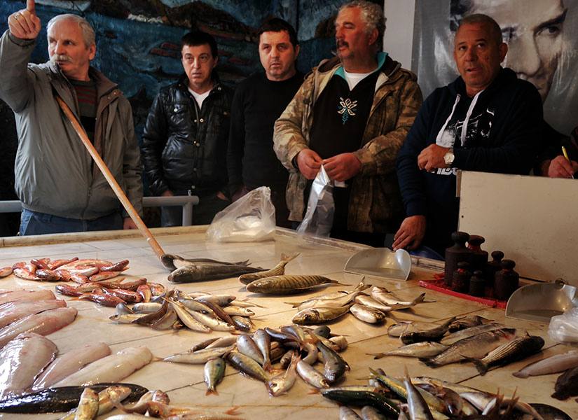 alacati ot festivali (4)