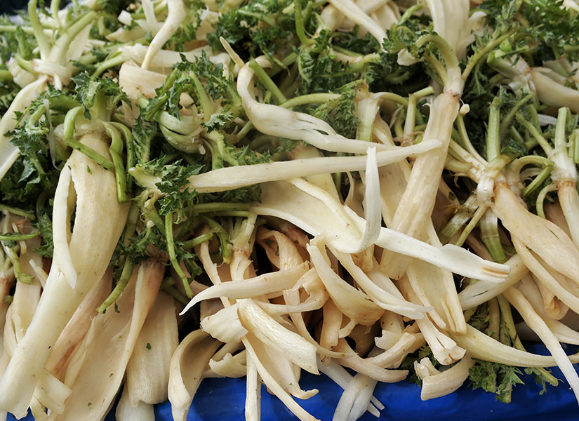 alacati ot festivali (7)