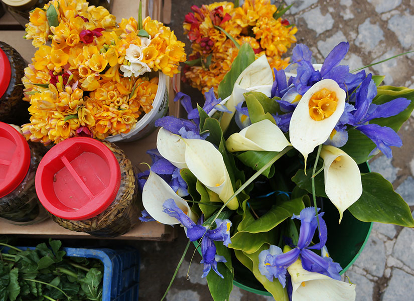 alacati ot festivali (9)