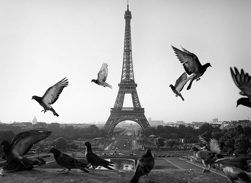 mustafa seven paris fotograflari (6)