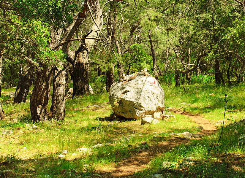 kalkan otelleri (4)