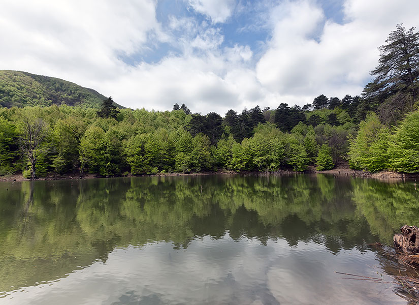 yalova otelleri (3)