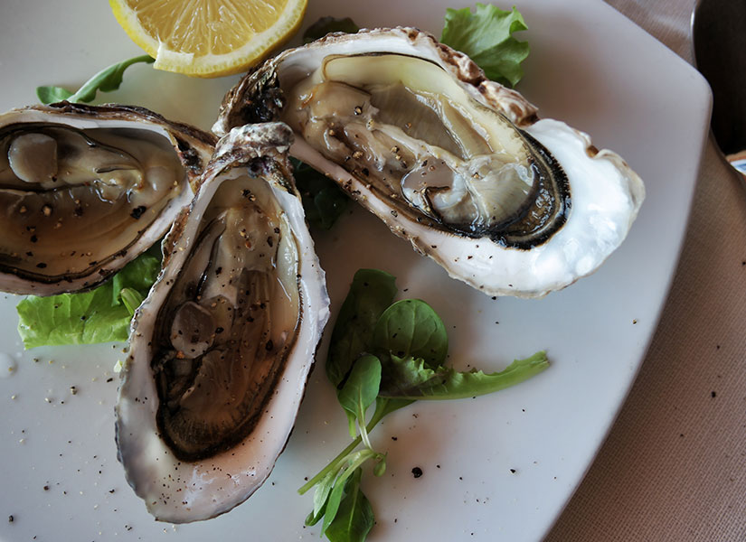 cefaluda ne yenir (5)