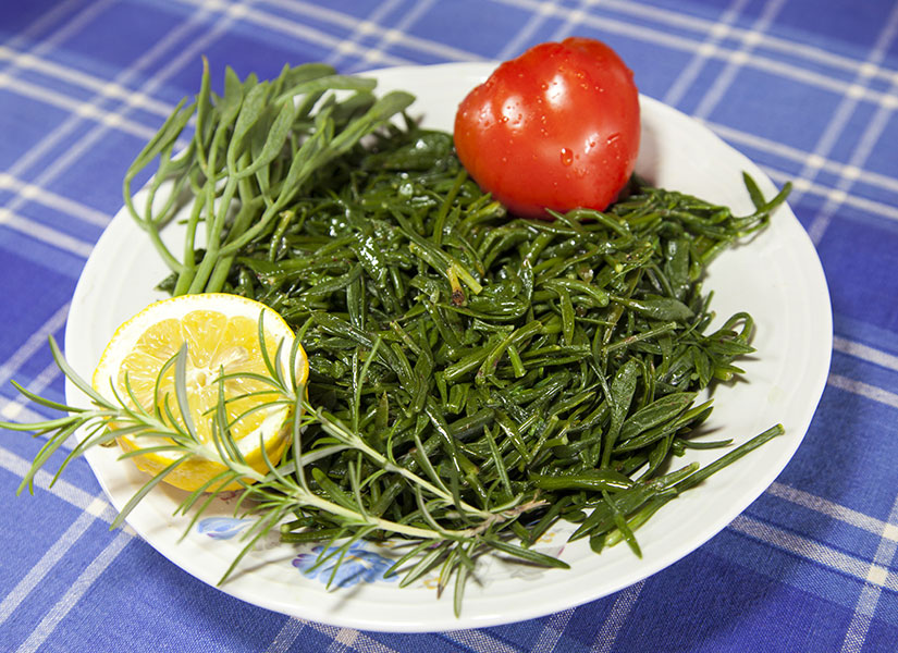 deniz-borulcesi