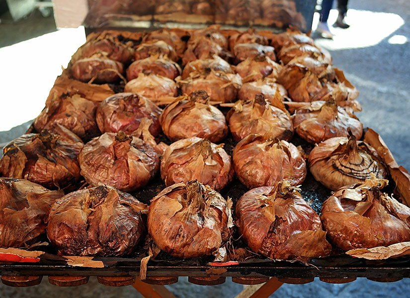 katanya mutfagi (10)