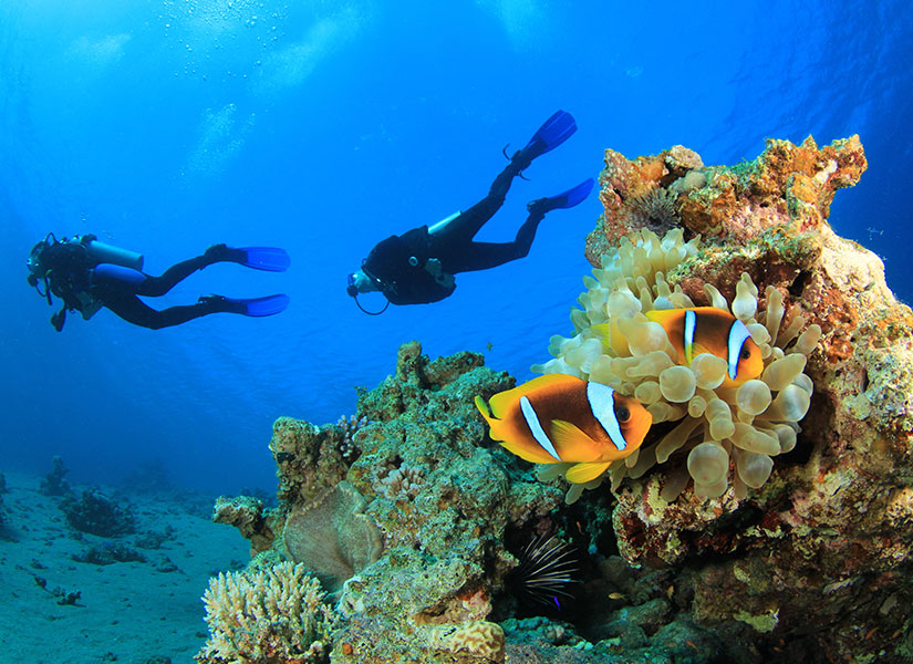 oludenizde eglence (1)